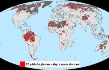 20-yilda-vahsi-yasam-alanlarinin-onda-biri-yok-oldu