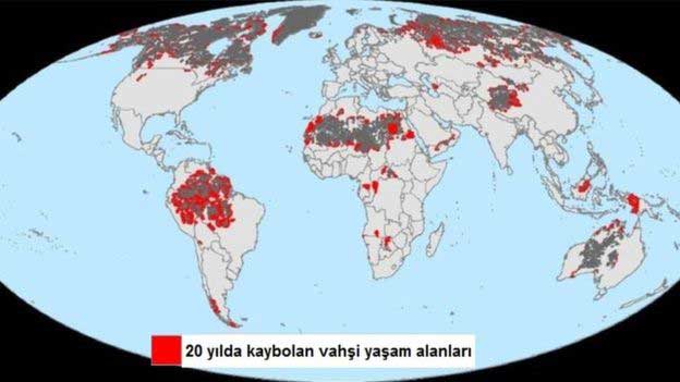 20-yilda-vahsi-yasam-alanlarinin-onda-biri-yok-oldu