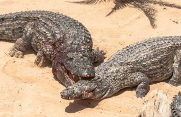 _90965996_gettyimages-491925361