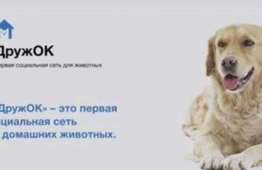 _91747572_921561b3-509a-4ded-98b6-41e6b659d688