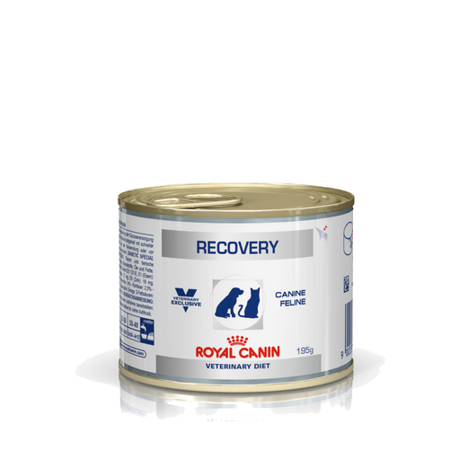 Royal Canin Recovery Cat