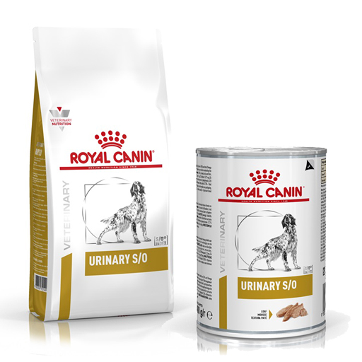 Royal Canin Urinary S/O Dog Dry Wet
