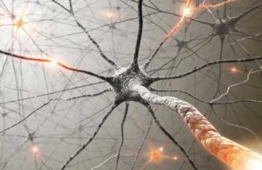 axon