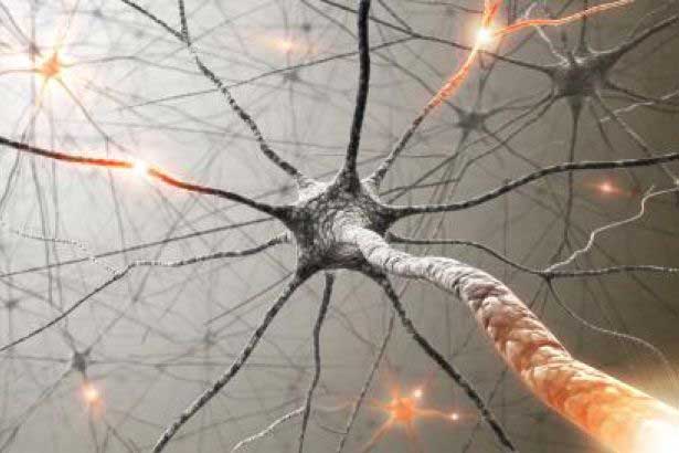 axon