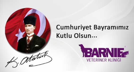 cumhuriyet-bv