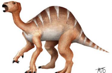 iguanodonte