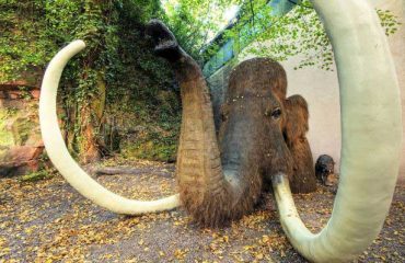kaiserslautern_gartenschau_mammut